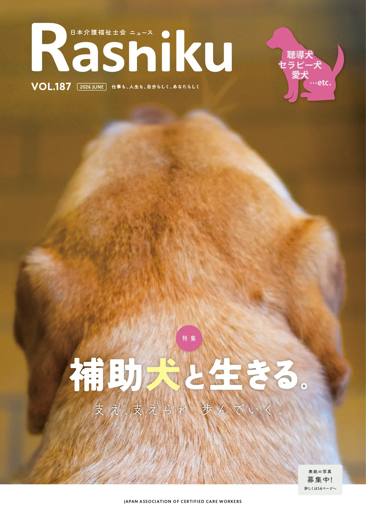 日本介護福祉士会ニュース表紙